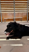 ESTRELLA Image 5